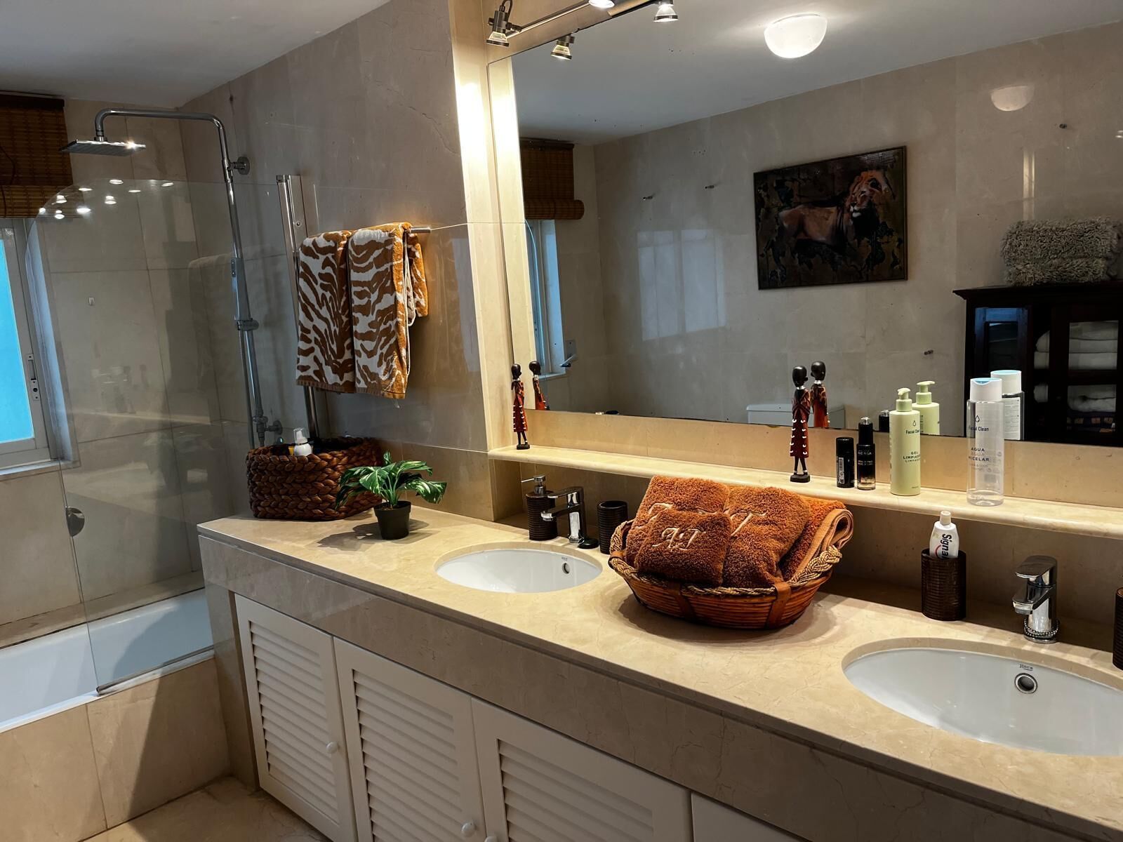 Shower, bidet, towels, soap