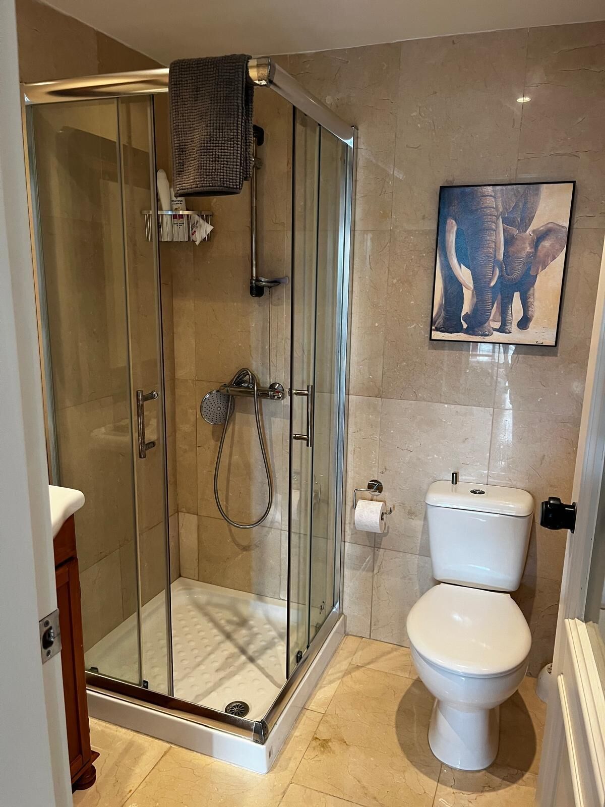 A modern bathroom with a glass-enclosed shower, a toilet, and a framed elephant painting on the wall.