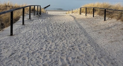 Cozy vacation rental with a terrace for 4 people in Zingst on the Baltic Sea