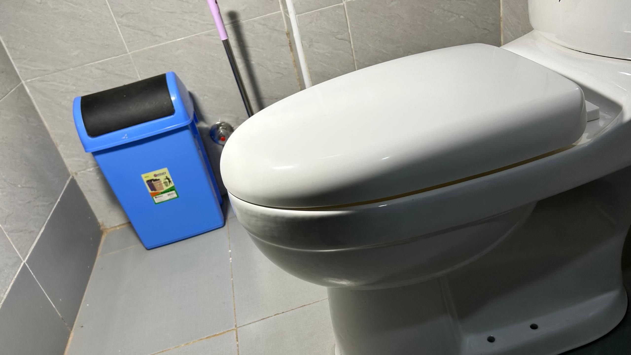 A toilet with a white seat and lid, a blue trash bin with a recycling sticker, and a toilet paper holder.