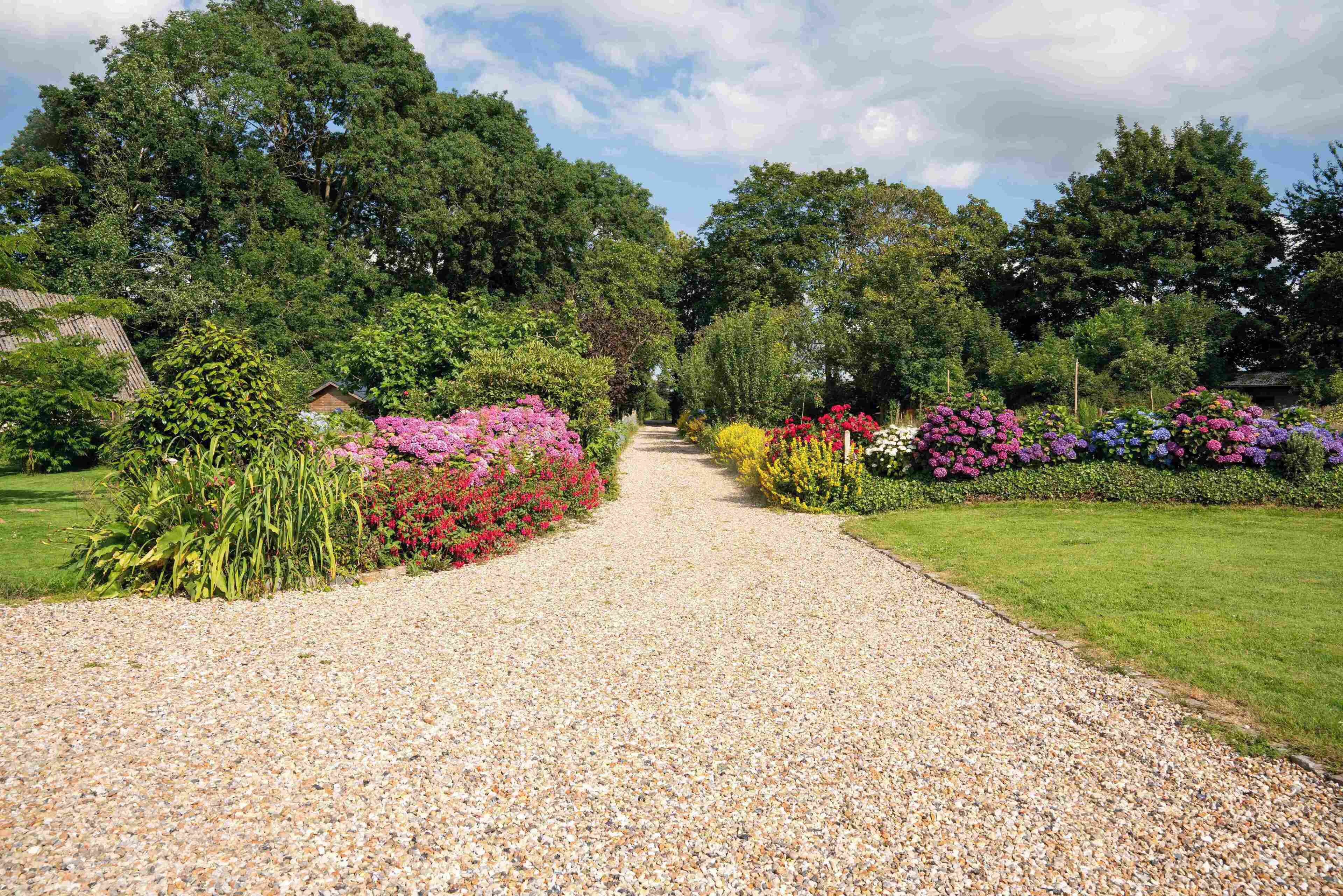 Comfort Cottage | Property grounds