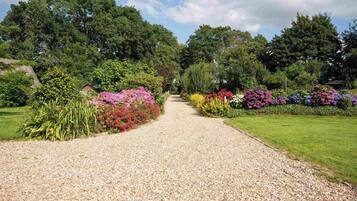 Comfort Cottage | Property grounds