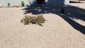Une maison de plain-pied avec une porte d’entrée sombre, un porche abrité et une allée gravillonnée.