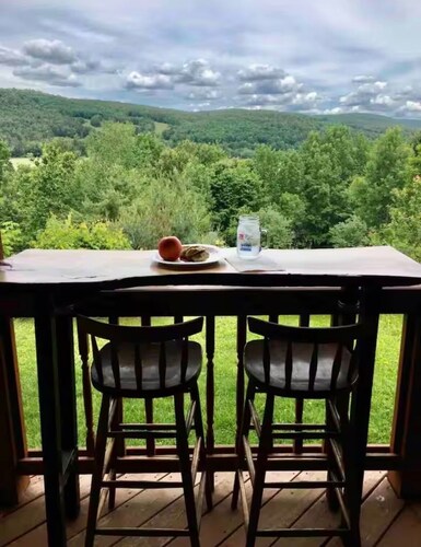 Private Cabin Near Cooperstown All Star Village - 14 Acres, Views & Guest House
