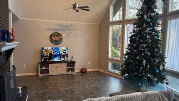 TV
