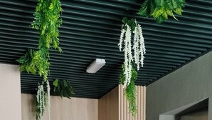 Un interior moderno con un panel de madera, un mostrador de recepción con plantas y una puerta.