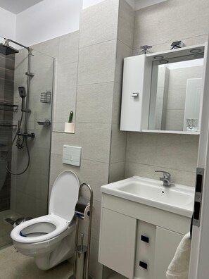 Hair dryer, towels, soap, toilet paper - Lovely 1-bedroom apartment with AC and amazing panoramic view in charming Rasnov (Rasnov)