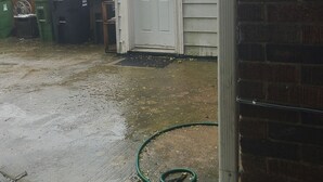 A residential backyard with a white door, a brick wall, and a wooden fence.