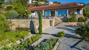 Une maison avec un mur en pierre, un jardin où poussent différentes plantes et un ciel bleu dégagé.