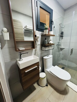 Hair dryer, towels, soap, toilet paper - Charming 2-bedroom apartment with AC in marvelous Spot in Las Terrenas (Las Terrenas)