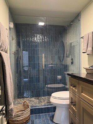 Shower, hair dryer, towels, soap