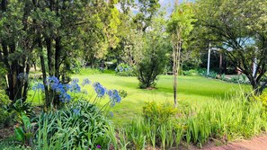 Property grounds - Midrand Manor Guesthouse  (Midrand)