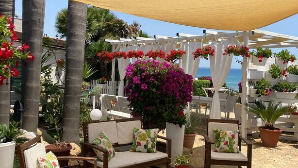 Un espace extérieur aménagé avec un auvent, des chaises, des tables et des plantes en pot.