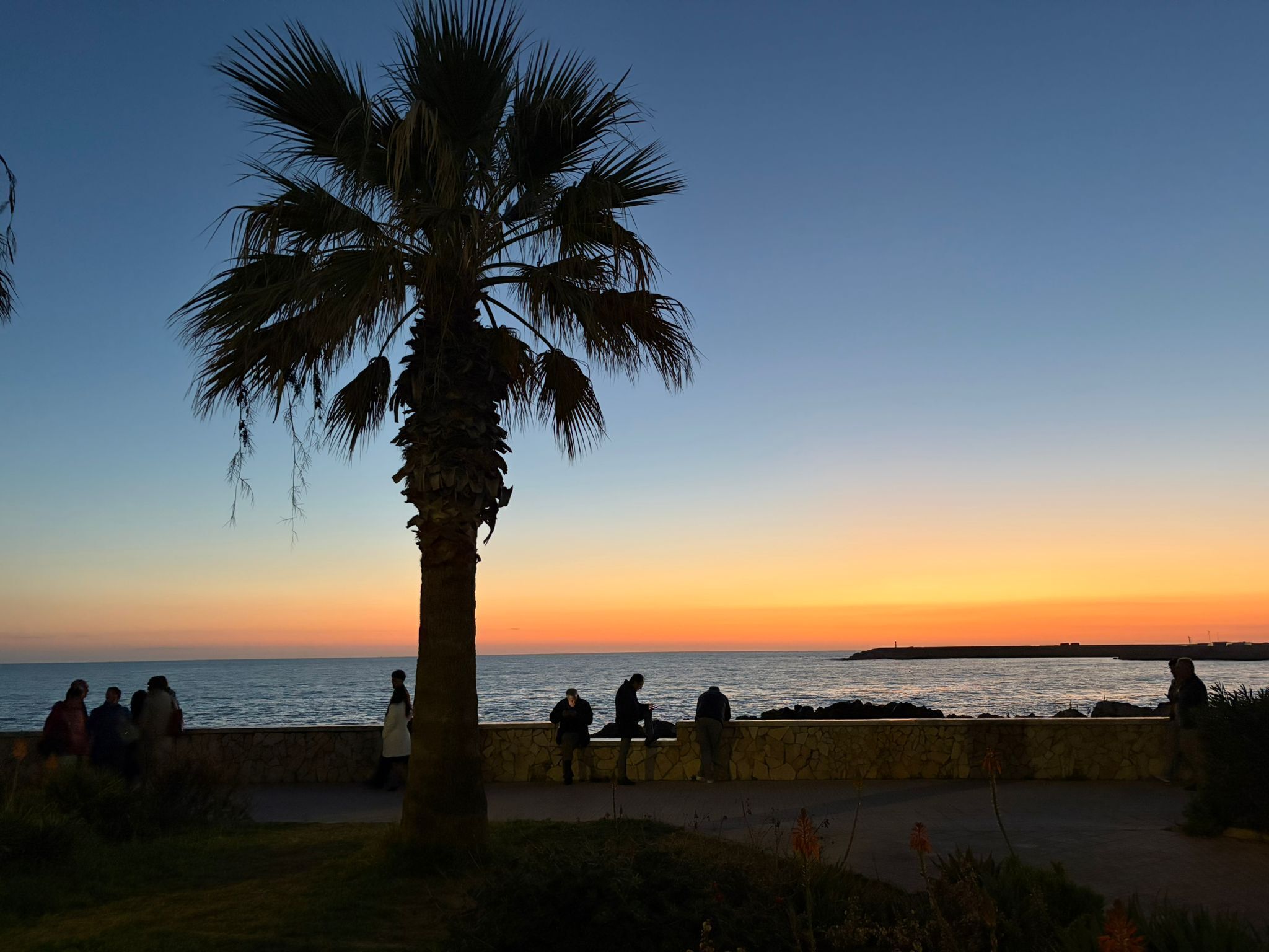 Vista del mar amb un sol ponent, una palmera i gent asseguda sobre un mur de pedra.