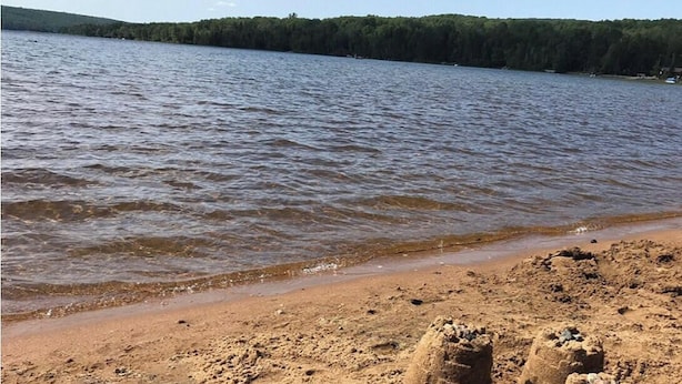 Una spiaggia sabbiosa con acqua e una zona boschiva sullo sfondo.