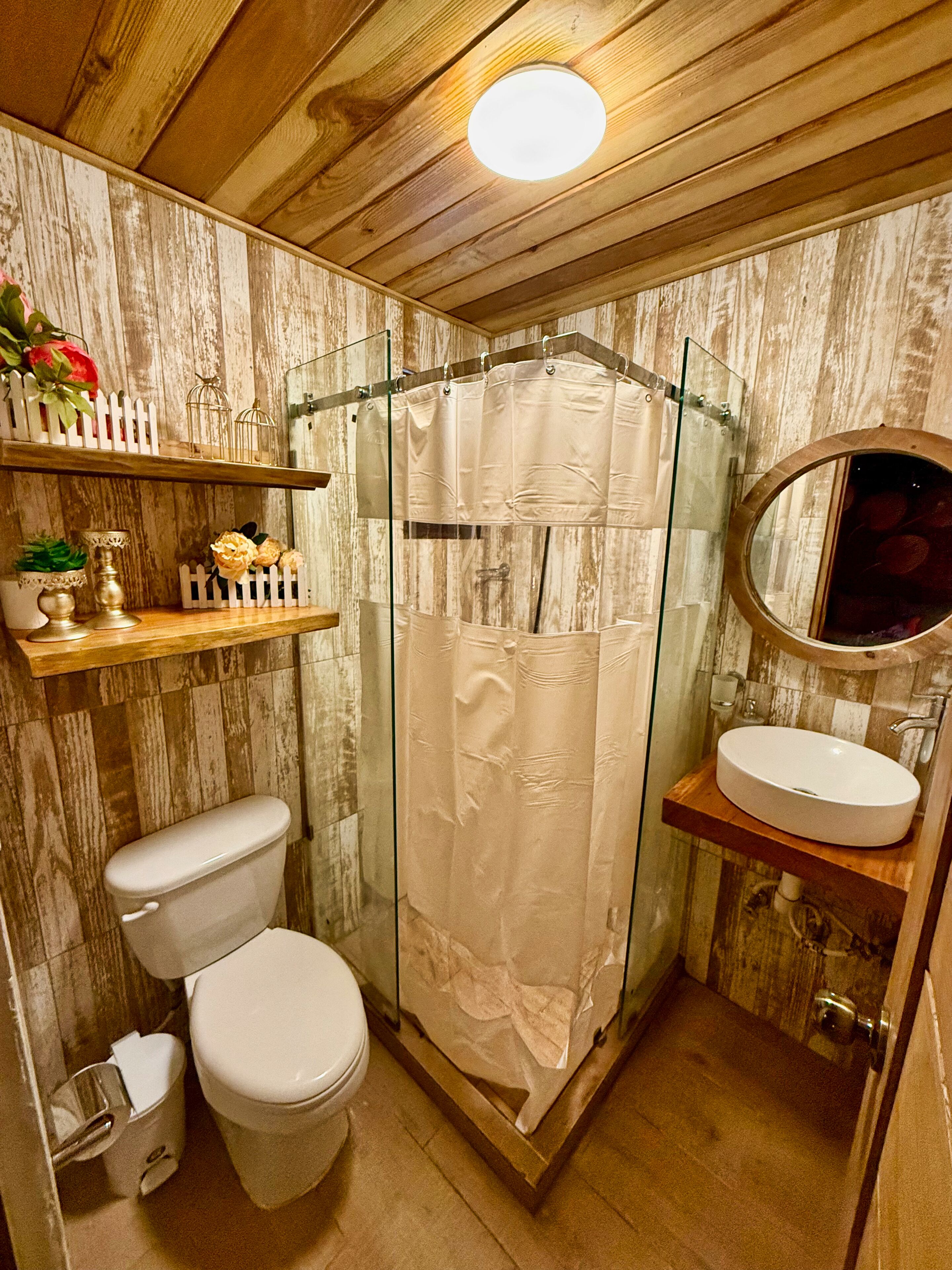 Shower, towels, toilet paper