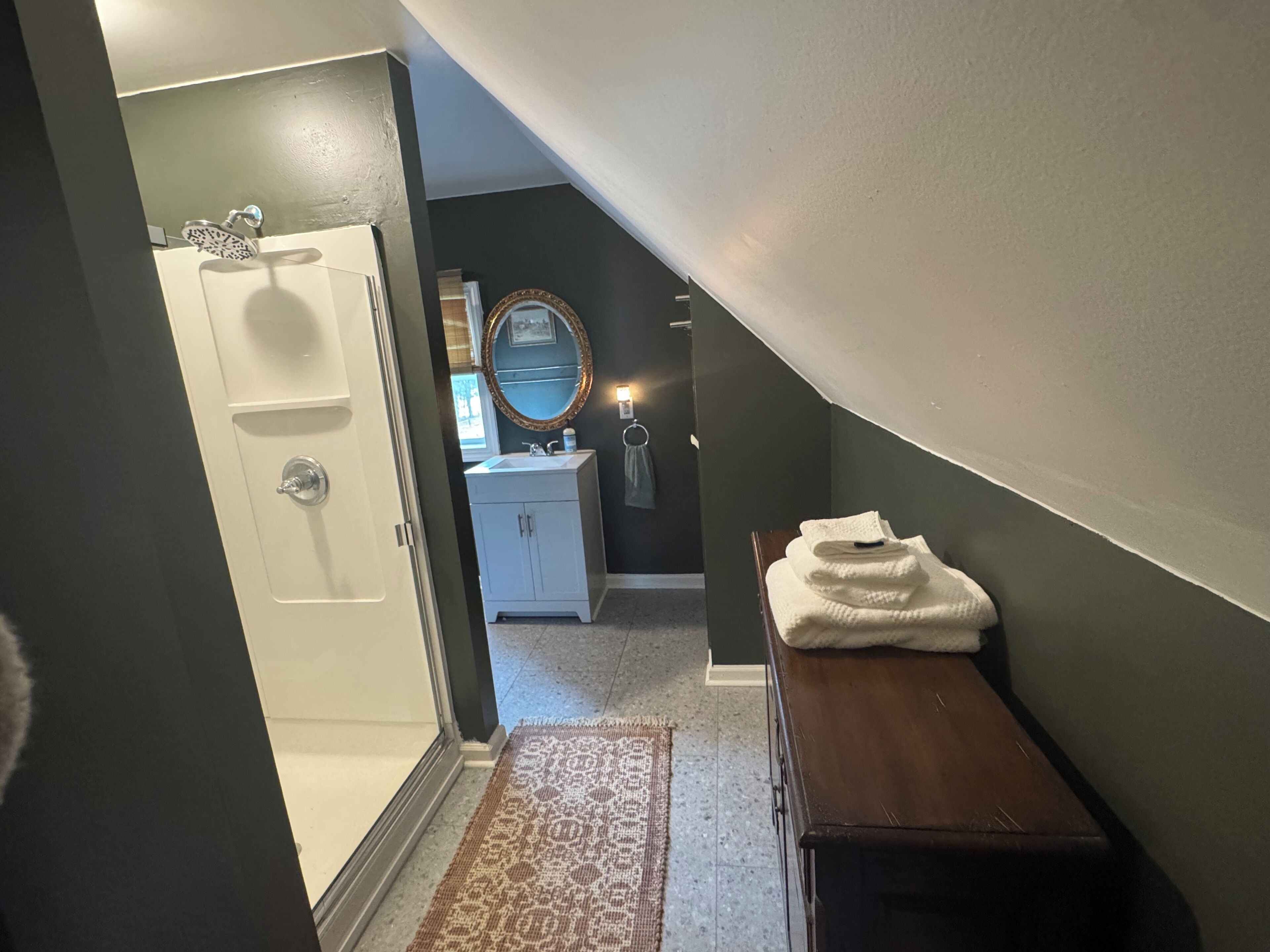 Shower, bidet, towels, soap