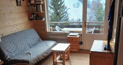 Cosy T2 with mountain view