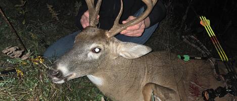 Une personne tenant un cerf avec de grandes cornes.