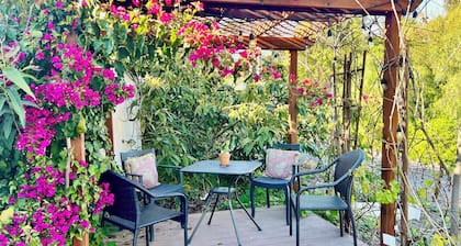 Superb 2-bedroom cottage with AC in charming La Mesa / Mt Helix with views