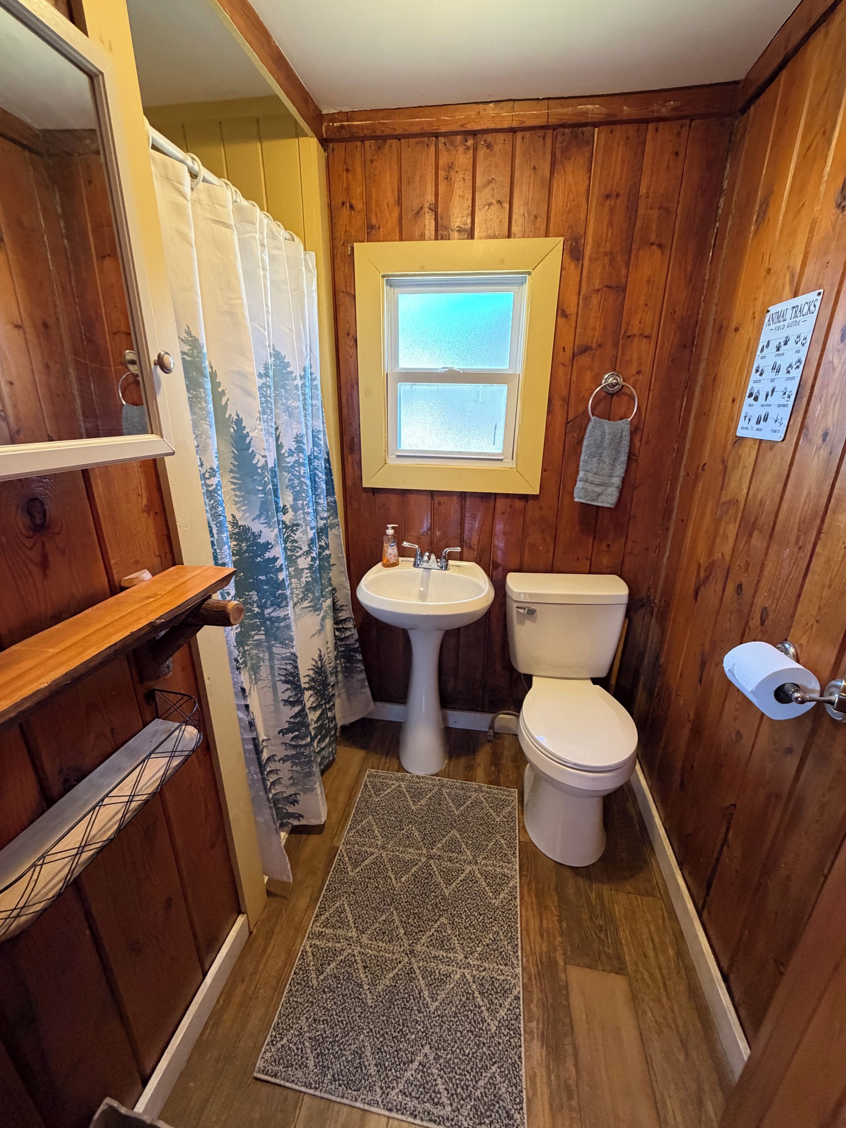 Shower, towels, soap, toilet paper