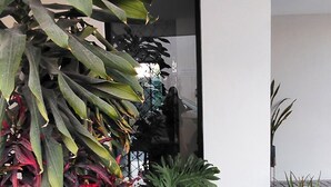 外観の詳細