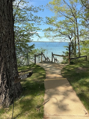 A concrete pathway leading to a dock, surrounded by trees and a body of water.