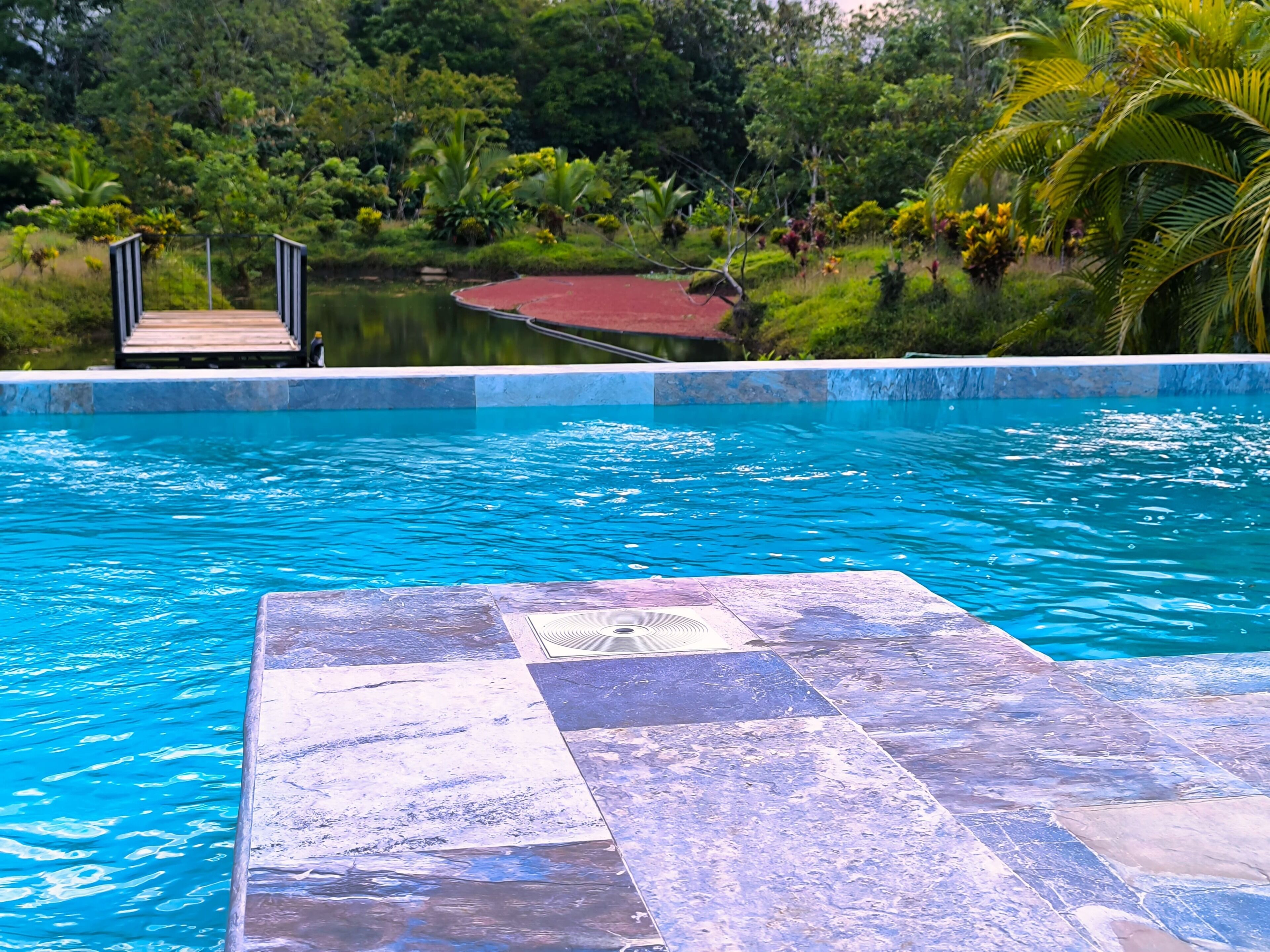 Una piscina con cubierta de madera y vistas a un jardín tropical.