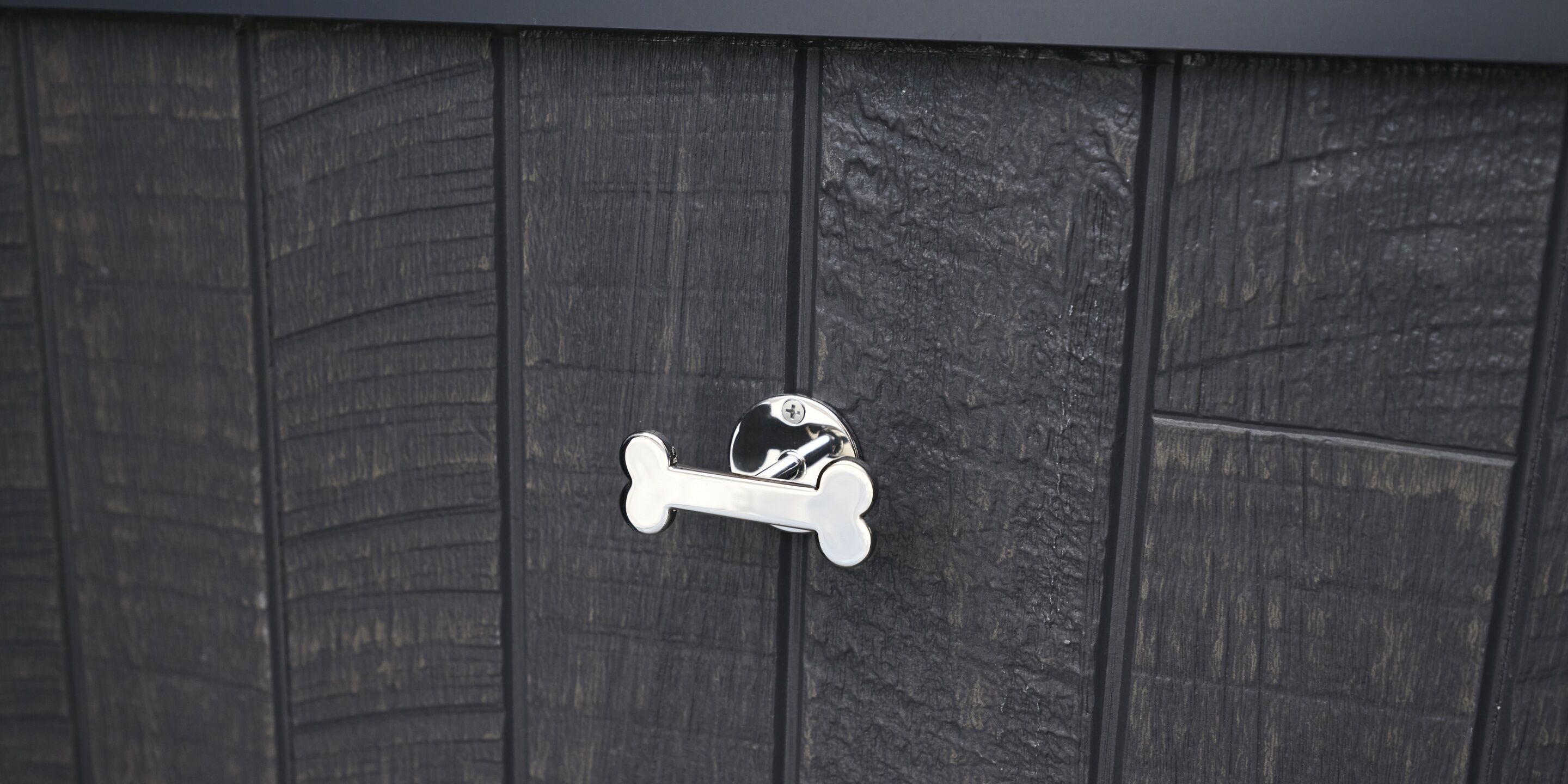 A door with a bone-shaped keyhole and a keyhole with a key inserted.