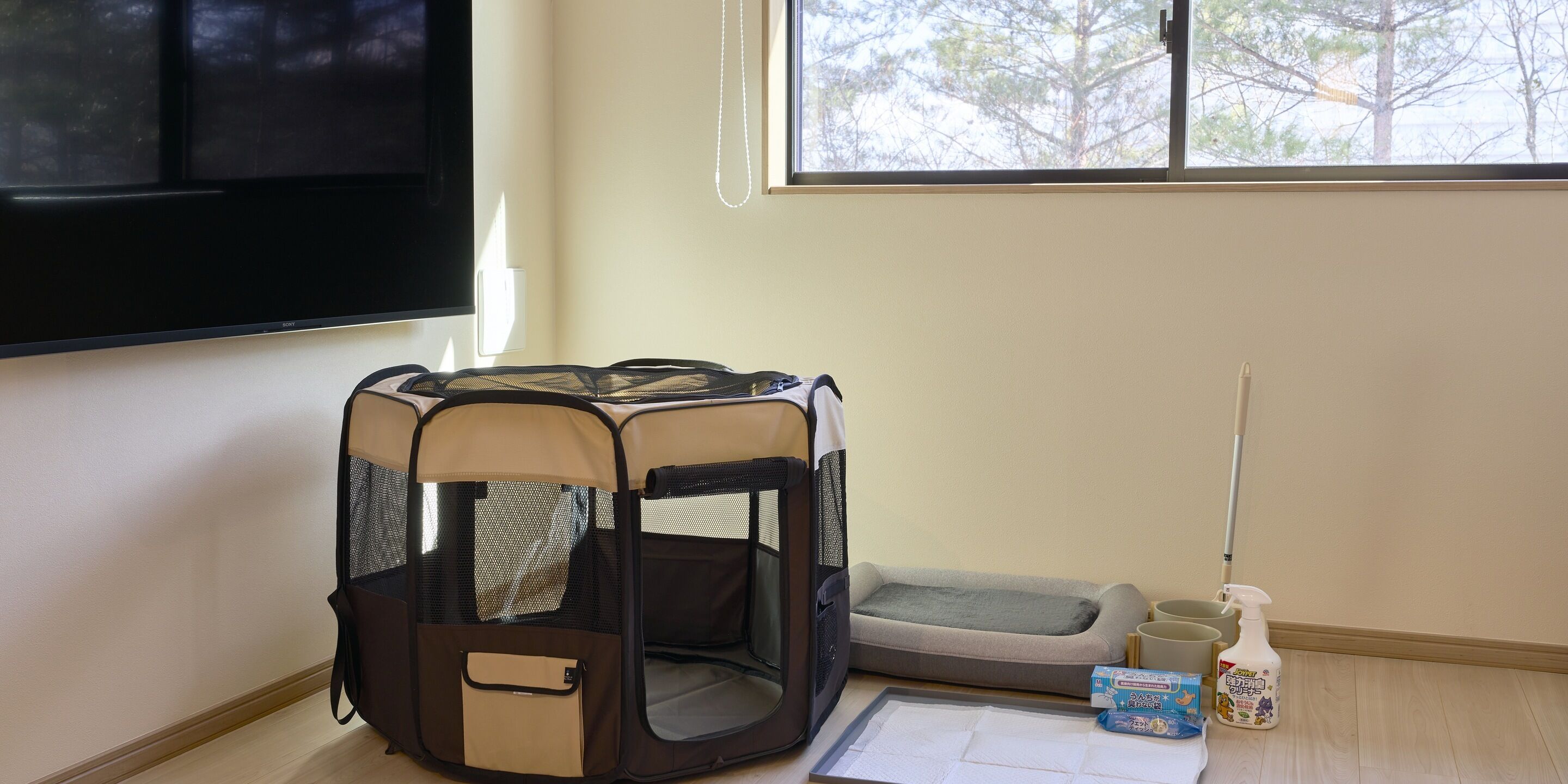Pet-friendly amenities