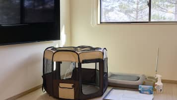 Pet-friendly amenities