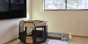 Pet-friendly amenities