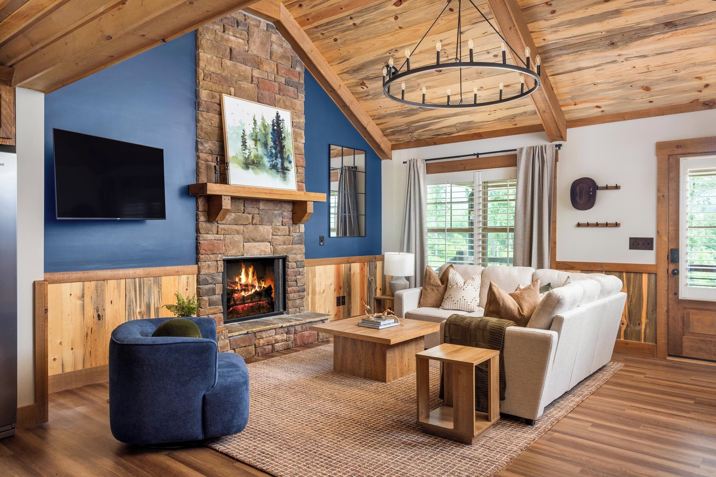 Smart TV, fireplace, books