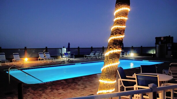 Una piscina con sillas de descanso y una palmera adornada con luces.
