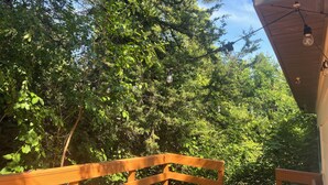 A wooden bench, a string of lights, and dense foliage in a garden setting. - Cozy family friendly Entire Home l, 2BR,  Free Parking, 20min to Minneapolis (Champlin)