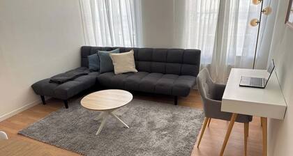 Charmant T2 rĂ©novĂ© au cĆur de Romilly-sur-Seine