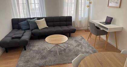 Charming renovated T2 in the heart of Romilly-sur-Seine