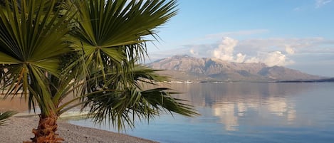 Ranta
