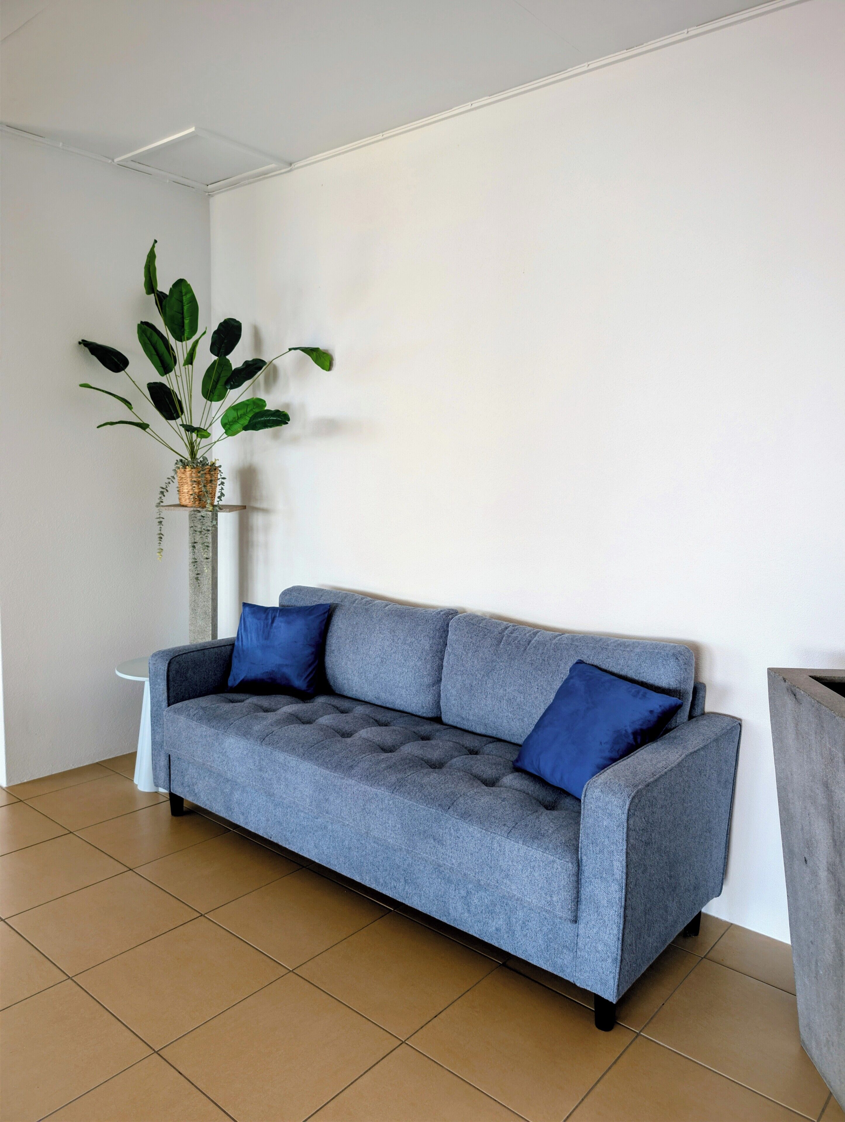 Un sofá gris con cojines azules, una planta en maceta y una pared blanca.