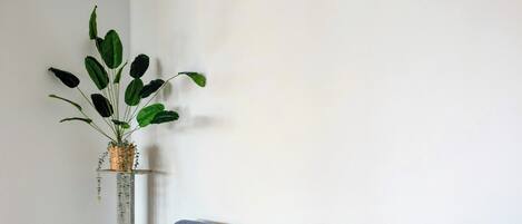 Un sofá gris con cojines azules, una planta en maceta y una pared blanca.