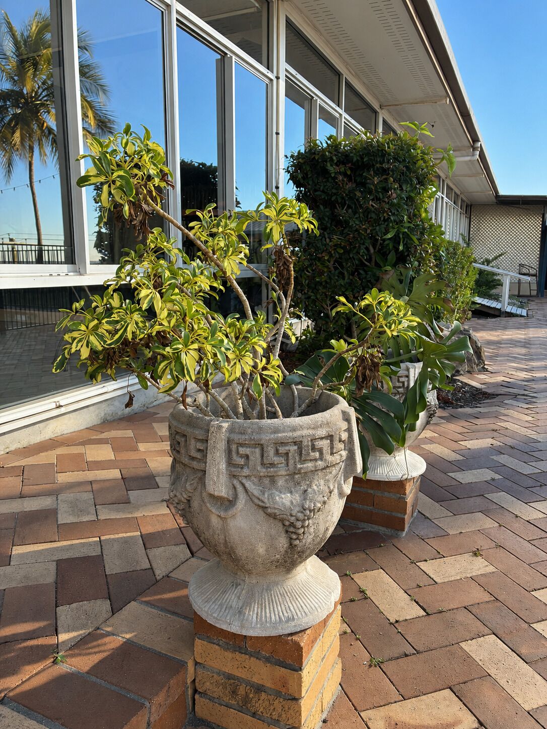 Un edificio con amplios ventanales, plantas en macetas exteriores y un área pavimentada con ladrillos.