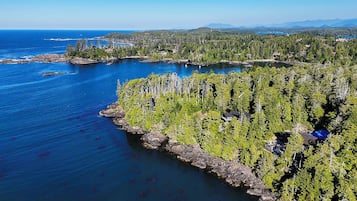 Deluxe dubbelrum - utsikt mot trädgården | Utsikt från luften