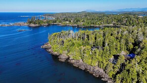 Aerial view - Kinnikinnick Guest House (Ucluelet)
