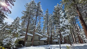 A snow-covered residential area with tall pine trees, a pathway, and a building with multiple windows and balconies. - Alpine Pines | Deck | BBQ | Community Amenities (Kings Beach)