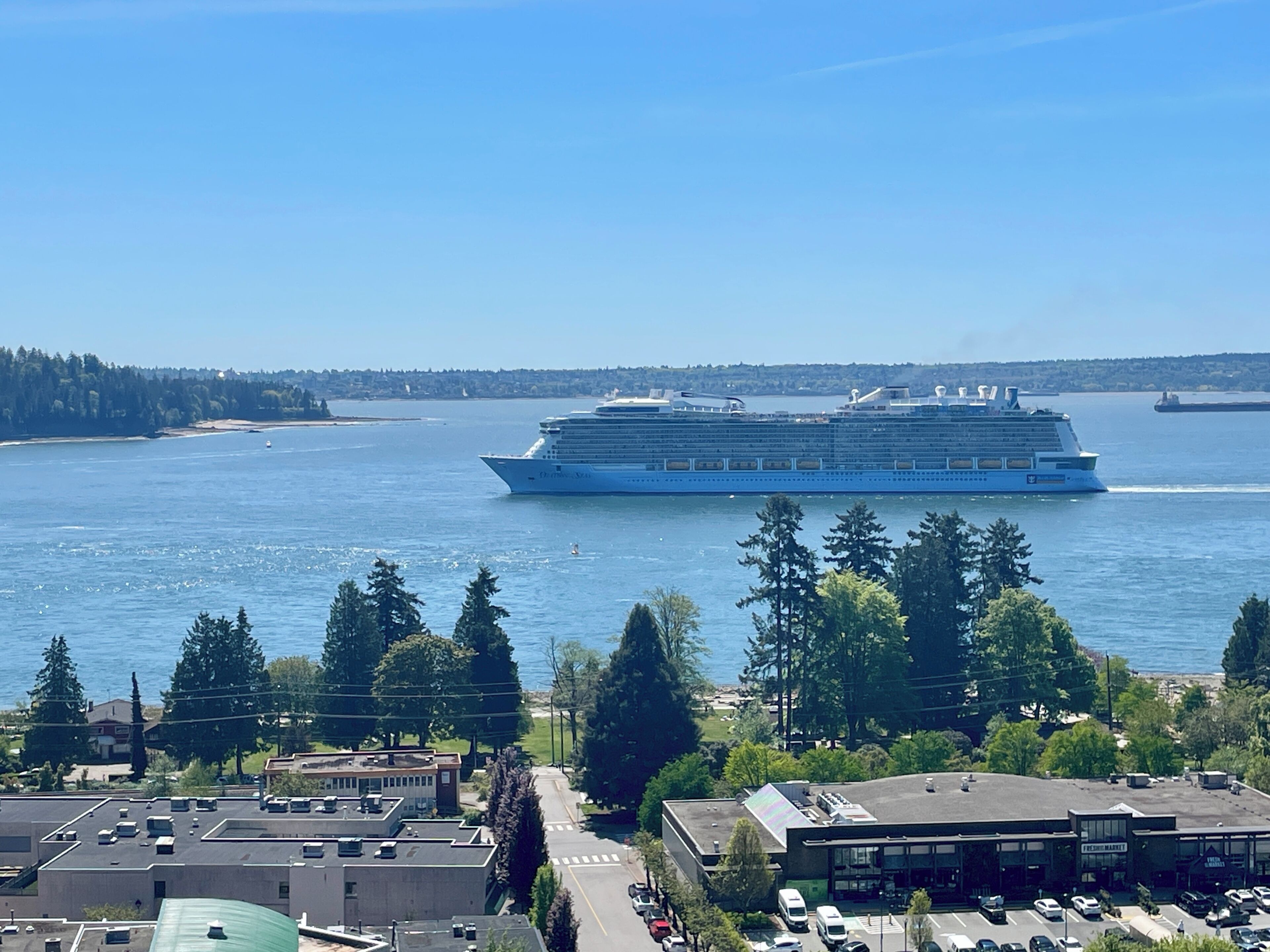 Ein großes Kreuzfahrtschiff auf dem Wasser, im Vordergrund eine Stadtlandschaft.