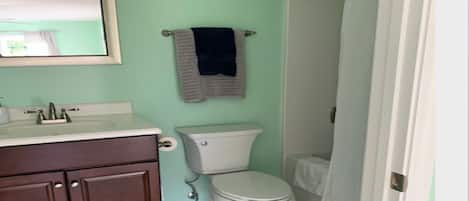 Hair dryer, towels, soap, toilet paper