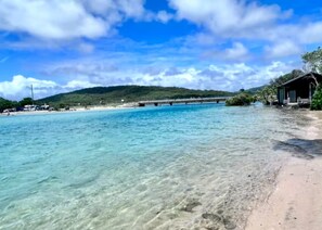 Beach - Seashells on Peninsula (Hastings Point)
