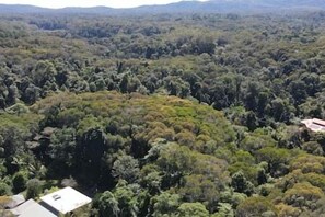 Miscellaneous - Tranquil Rainforest Studio (Kuranda)