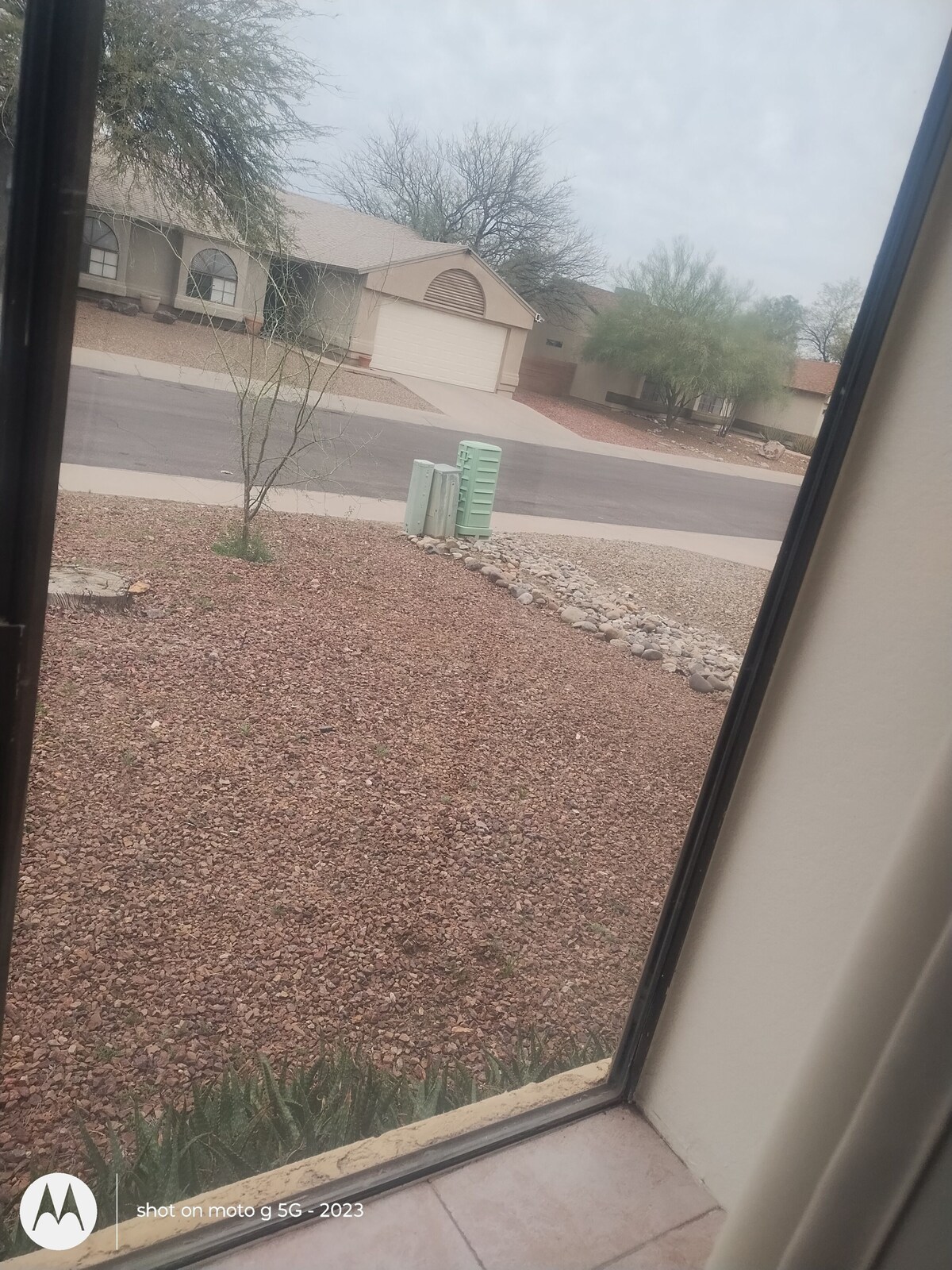 Imagen de perfil del propietario o de la propietaria