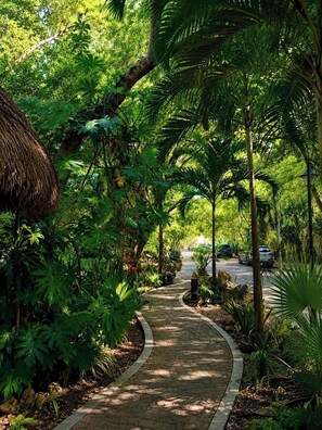 A paved pathway surrounded by lush greenery and palm trees. - Amazing Location • Walk to Coco Beach & 5th Ave• Rooftop Pool (Playa del Carmen)